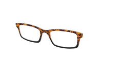 The Amber Tort